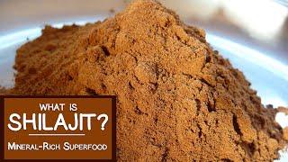 What is Shilajit? A Mineral-rich Superfood Adaptogen