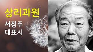 시 낭송 【서정주 대표시=상리과원】