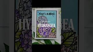 How to paint a Hydrangea in Watercolors with Distress Inks Part 2