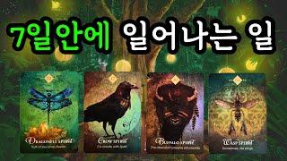 타로️ 7일 안에 일어나는 일! (5월5일~5월11일) 주간타로