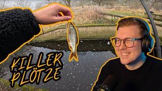 TOBOOS fängt die KILLER Plötze beim Angeln im Winter!