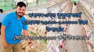 #Layer#poultry#Assam_Dibrugarh   Layer farming in Assam_ Moran_egg farm।