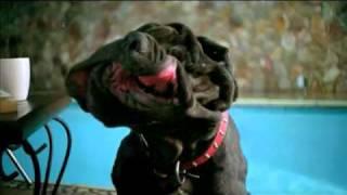 Friskies: Slobber dog