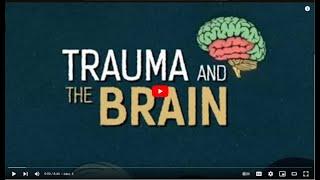 The Biology of Trauma and Neurodevelopment