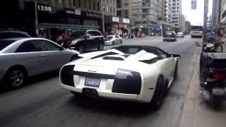 Lamborghini Murcielago Roadster Start Up and Revs