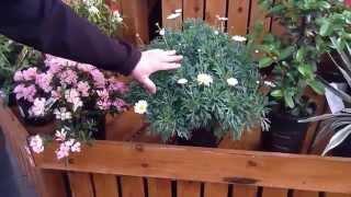 Watering your plants throughout the season with Simon Bax at Bents Garden & Home