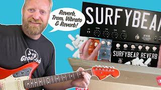 SURFY BEAR - Unboxing the Compact, Surfy Vibe & Surfy Trem - Comparison against the BIG BOI