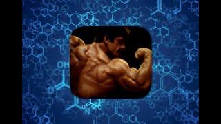 MIKE MENTZER: THE VALUE OF CARBOHYDRATES