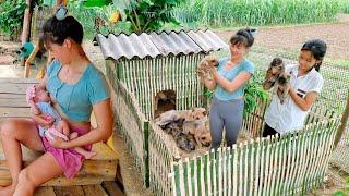 Single mother: Building a cage for puppies - Life on the farm