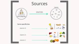 Micronutrients : basic knowledge