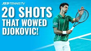 20 Tennis Shots So Good They Made Novak Djokovic Applaud 