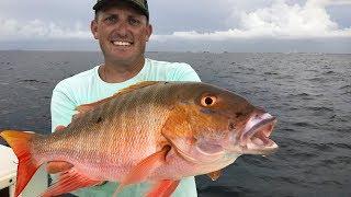 Mutton Snapper Catch Clean Cook! Tasty Tuesday! Deer Meat For Dinner!