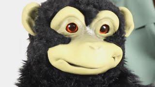 Baby monkey puppet by All Pro Puppets