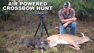 AIR POWERED Crossbow & Rifle Hunt in Texas!