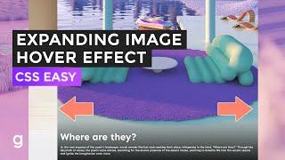 Creating an Expandable Image Grid with Hover Effects | EASY