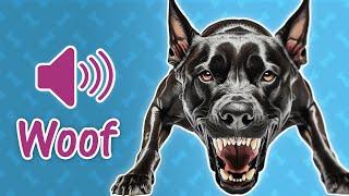  Dog Barking Sound - 47 Dog Sounds to Make your Dog React