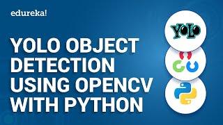 YOLO Object Detection Using OpenCV And Python | Python Projects |  Python Training | Edureka