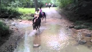 Pilot Mountain trail ride