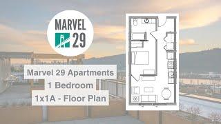 1*1A Floor Plan Virtual Tour - Marvel 29 Apartments