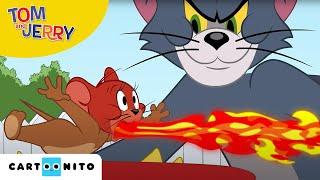 Tom i Jerry Show | Fala upałów | Cartoonito