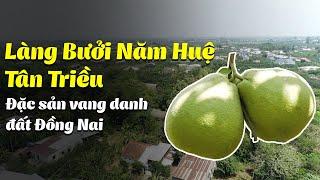 VOVTV Travel - Làng Bưởi Năm Huệ Tân Triều - Đặc Sản Vang Danh Đất Đồng Nai