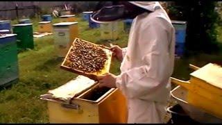Наша пасека.Собираем улей в зиму.4