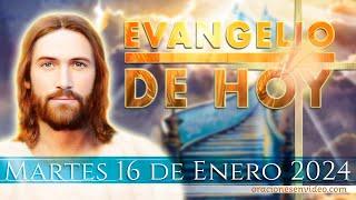 Evangelio de HOY. Martes 16 de enero 2024 Mc 2,23-28 El sábado se hizo para el hombre.