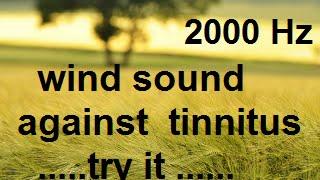 10 minutes wind at 2000 Hz as sound therapy for tinnitus