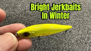 When A BRIGHT Jerkbait Outfishes All Other Colors…