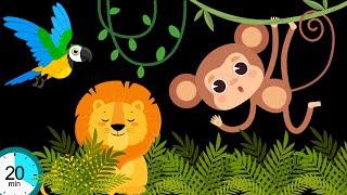 MONKEY'S JUNGLE ADVENTURE | BABY SENSORY | HIGH CONTRAST |VISUAL STIMULATION | GREAT BABY MUSIC