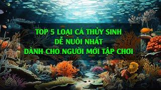 Top 5 Các Loại Cá Thủy Sinh Dễ Nuôi Nhất Dành Cho Người Mới Tập Chơi