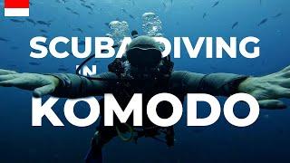 Scuba Diving in Komodo: Is it Better Than Bali?