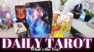 DAILY TAROT ~ "They Honestly Think You'll take Them Back, After All This?? Delulu!!"JANUARY 2024