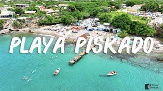 Snorkel with turtles at Playa Piskado on the northwest side of Curacao (Also known as Playa Grandi)