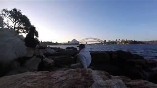 TIME LAPSE | SYDNEY | OPERA HOUSE & HARBOUR BRIDGE