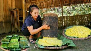 How to cook simple turmeric sticky rice, sold in 10 minutes - Pet care | Ly Thi Tam