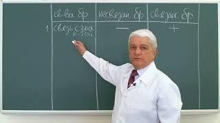 12:00 Катаболизм сложных белков Желтухи