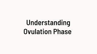 Understanding the Ovulation Phase