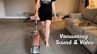 Vacuuming Sounds for Sleep with Sleepy Dogs by Cozy Fireplace