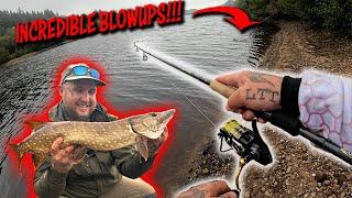 The TOPWATER Bite Is ON!!! Pike and Perch BLOWUPS!!