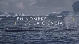 National Geographic Spain (Rebrand 2016) - Continuity (11/15/2016) (5)