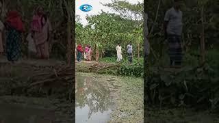 ফসল আবাদে বাঁধার সম্মুখীন কৃষকরা#shortvideo