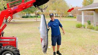 Big King Mackerel Catch, Clean, and Cook!