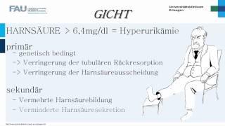 Innere Medizin ─ Entstehung der Gicht