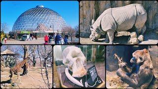 Travel: Nebraska Omaha’s Henry Doorly Zoo and Aquarium