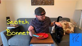 Yellow and Red Scotch Bonnet Pepper Review Featuring My Cat Pint!