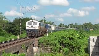 Trains in Guwahati - Rangiya Section traversing through Lush Greenery