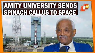 Indian Scientist Details Space Docking, Features Amity University's Spinach Callus Payload