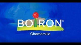 Chamomilla