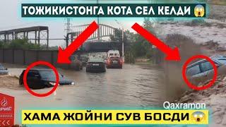 #срочно ТОЖИКИСТОНГА КОТА СЕЛ КЕЛДИ ХАМА ЖОЙИНИ СУВ БОСДИ